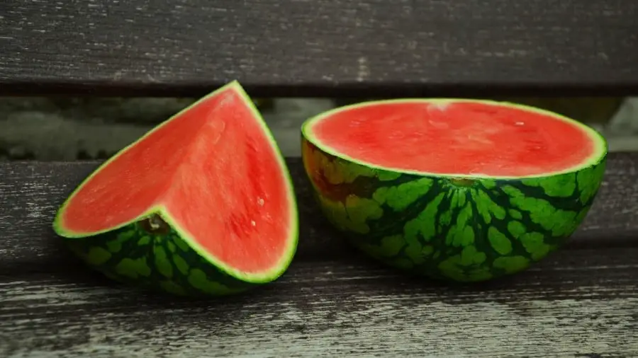 Can Chameleons Eat Watermelon?